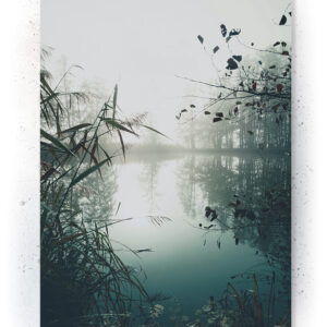 Plakat / Canvas / Akustik: Tåge (Nature) Plakater > Natur plakater