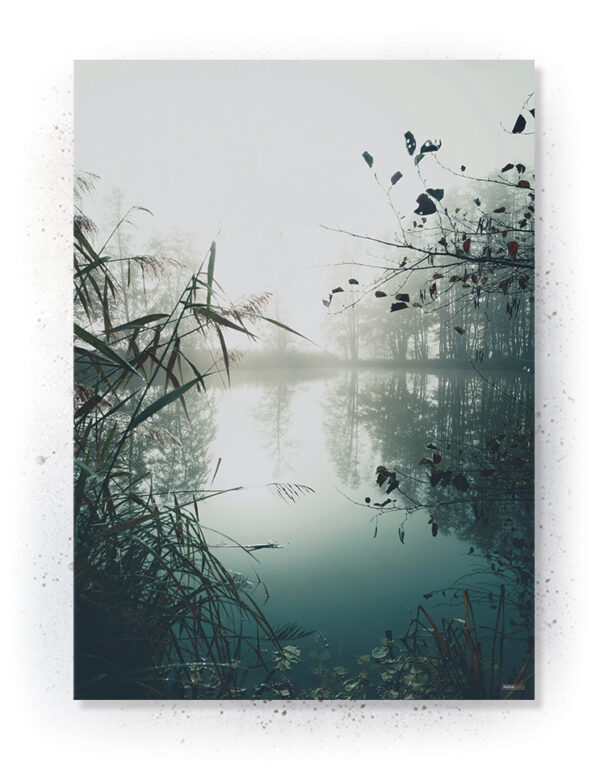 Plakat / Canvas / Akustik: Tåge (Nature) Plakater > Natur plakater
