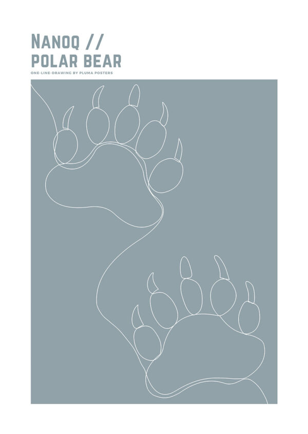 Nanoq - Polar Bear no. 2 af Pluma Posters Illux Art shop - Illux Art nyheder - Grafisk kunst - Pluma Posters