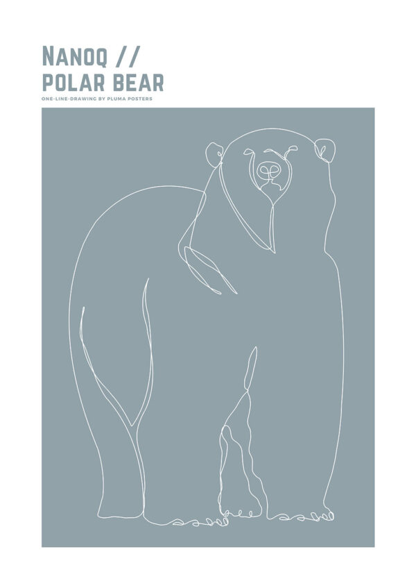 Nanoq - Polar Bear no. 1 af Pluma Posters Illux Art shop - Illux Art nyheder - Grafisk kunst - Pluma Posters