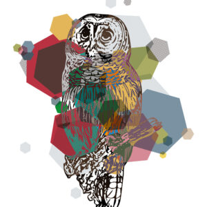 Owl af Jakub Stodulski Illux Art shop - Jakub Stodulski