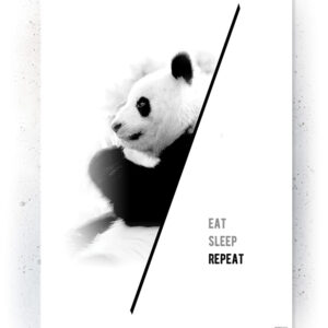 Plakat / Canvas / Akustik: Panda (Animals) Plakater > Sort / Hvid plakater