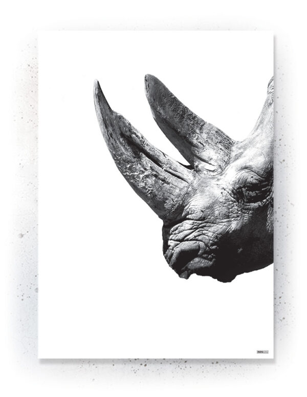 Plakat / Canvas / Akustik: Næsehorn (Animals) Plakater > Sort / Hvid plakater