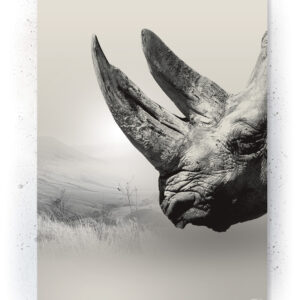 Plakat / Canvas / Akustik: Næsehorn II (Off-White) Plakater > Retro plakater