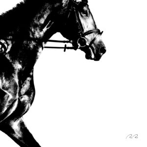 Running horse af Pia Roi Illux Art shop - Fotokunst - Pia Roi