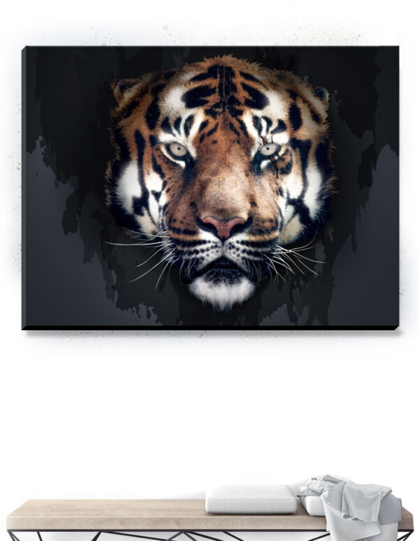 Plakat / Canvas / Akustik: Scar (Animals) Artworks > Populær