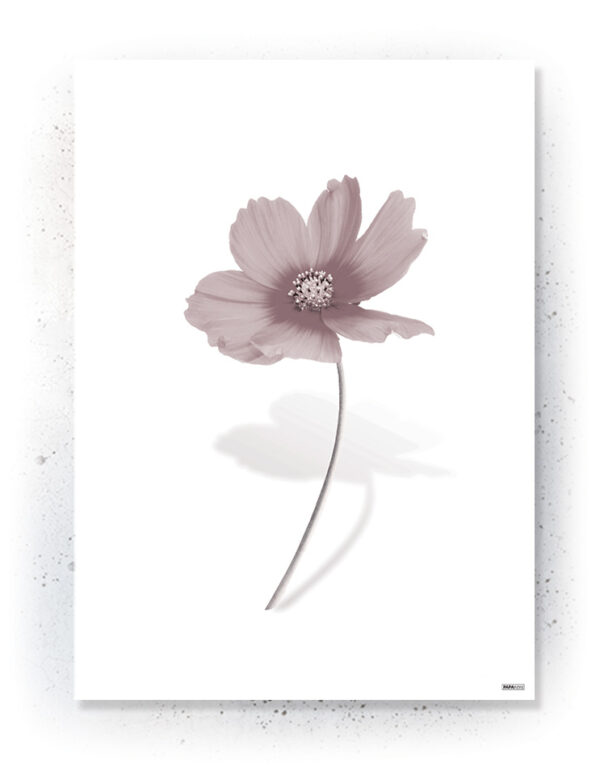 Plakat / canvas / akustik: Simpel blomst (Faded) Artworks > Beautiful