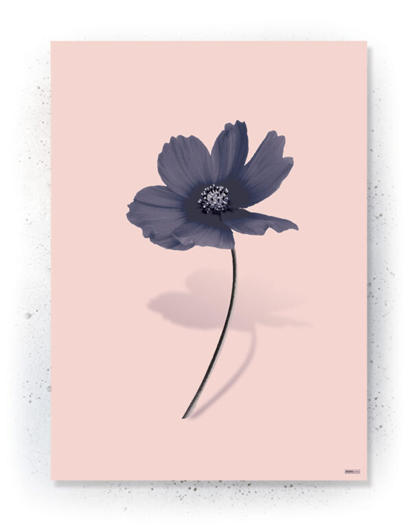 Plakat / canvas / akustik: Simpel blomst (MIDSOMMER) Artworks > Populær