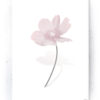 Plakat / Canvas / Akustik: Simpel blomst (Flush Pink) Artworks > Populær