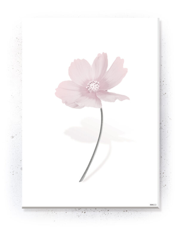 Plakat / Canvas / Akustik: Simpel blomst (Flush Pink) Artworks > Populær