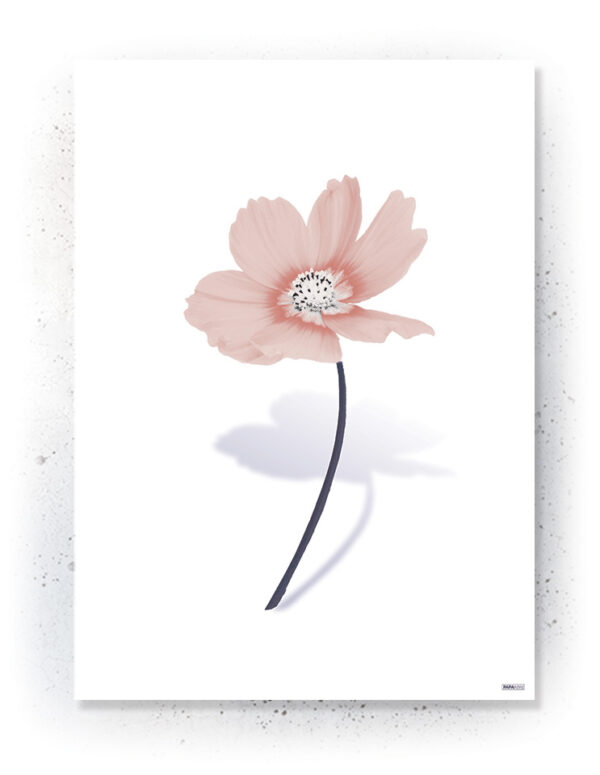Plakat / canvas / akustik: Simpel blomst hvid (MIDSOMMER) Artworks > Populær