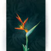 Plakat / Canvas / Akustik: Blomst 2 (Yellow spring) Artworks > Beautiful