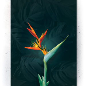 Plakat / Canvas / Akustik: Blomst 2 (Yellow spring) Artworks > Beautiful