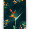 Plakat / Canvas / Akustik: Blomst (Yellow spring) Artworks > Beautiful