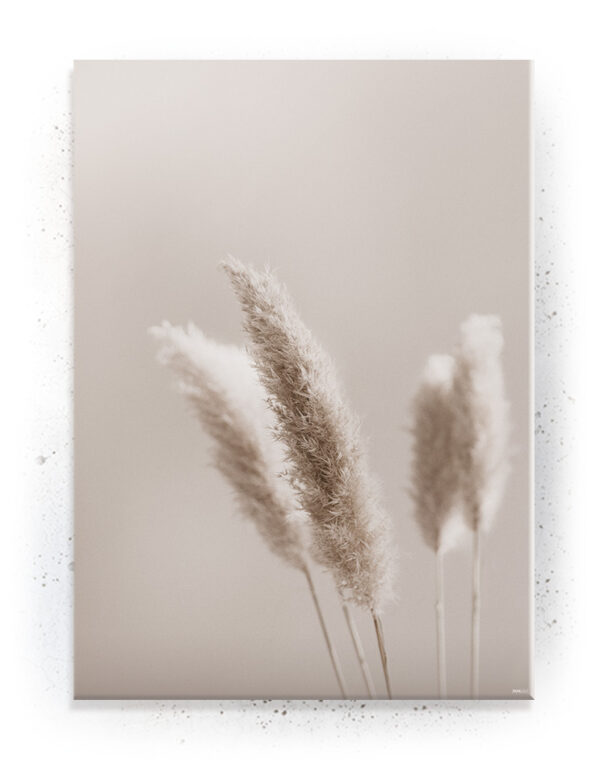 Plakat / canvas / akustik: Softtail Grass (Bright) Artworks > Beautiful