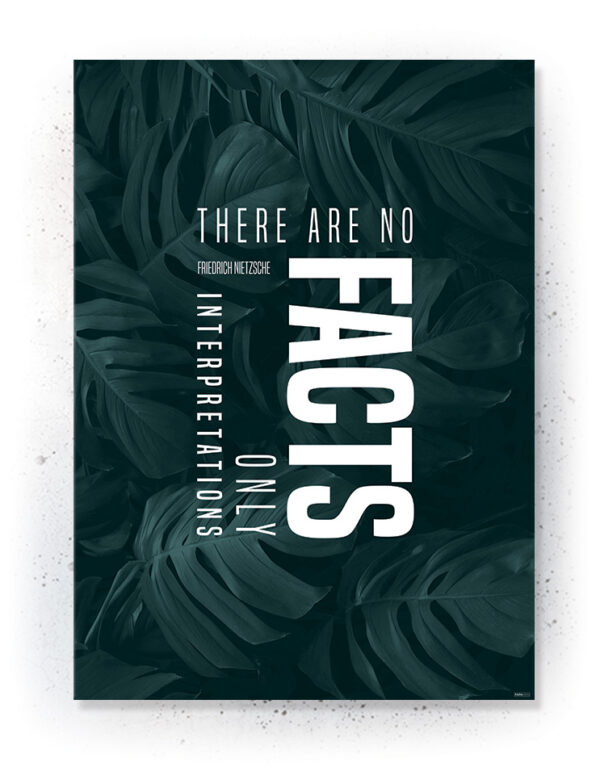 Plakat / Canvas / Akustik: There are no Facts (Thoughts) Artworks > Populær