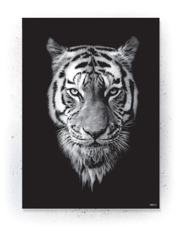 Plakat / Canvas / Akustik: Tiger / sort (Animals) Plakater > Sort / Hvid plakater