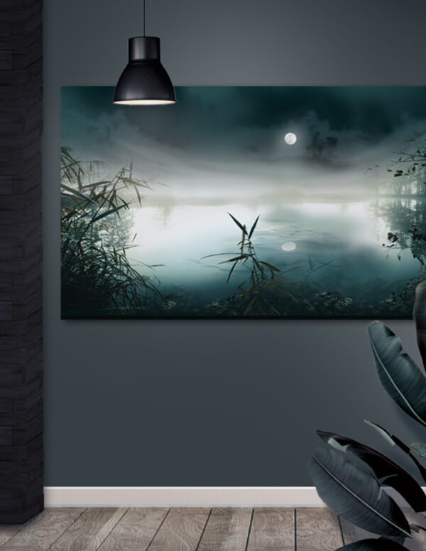 Plakat / Canvas / Akustik: Moonscape / Panorama (Earth) Plakater > Natur plakater
