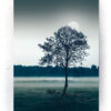 Plakat / canvas / akustik: Træ på mark(Earth) Artworks > Populær