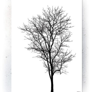 Plakat / Canvas / Akustik: Træ i silhuet (Black) Plakater > Sort / Hvid plakater