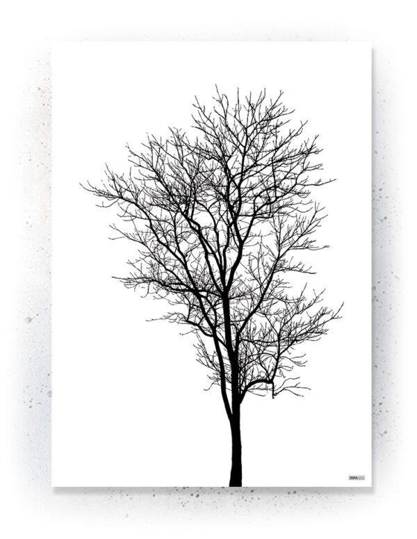 Plakat / Canvas / Akustik: Træ i silhuet (Black) Plakater > Sort / Hvid plakater