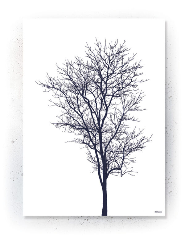 Plakat / canvas / akustik: Træ silhouette (MIDSOMMER) Artworks > Populær