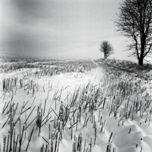 Vinter af Ida Schmidt Illux Art shop - Fotokunst - Ida Schmidt