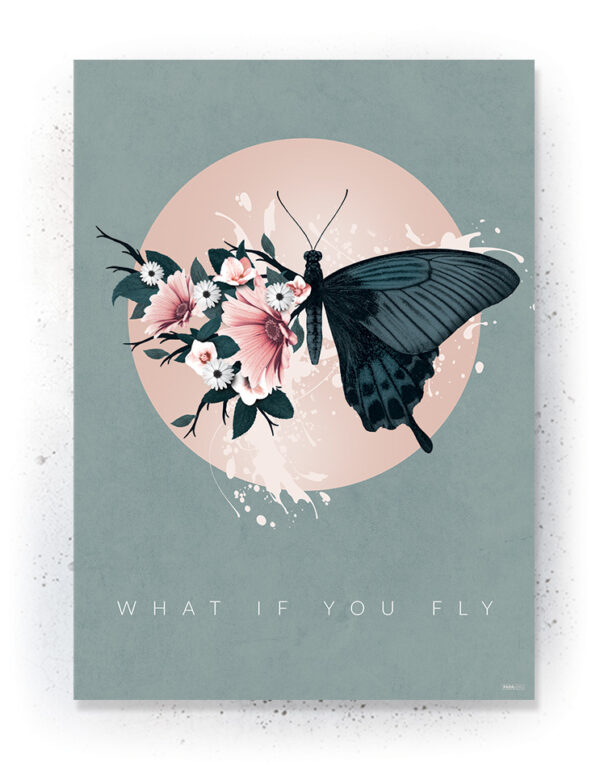 Plakat / canvas / akustik: What if you fly (Earth) Artworks > Populær