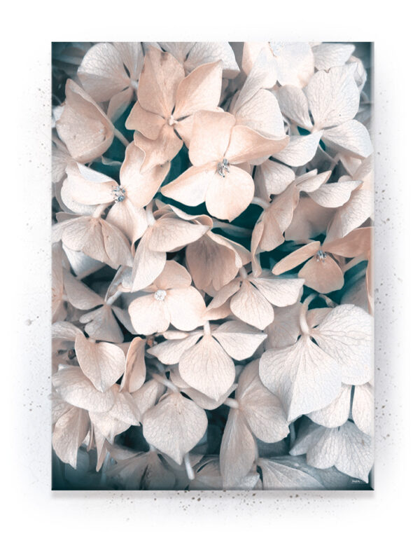 Plakat / Canvas / Akustik: Hvid blomst (Empowerment) Artworks > Beautiful