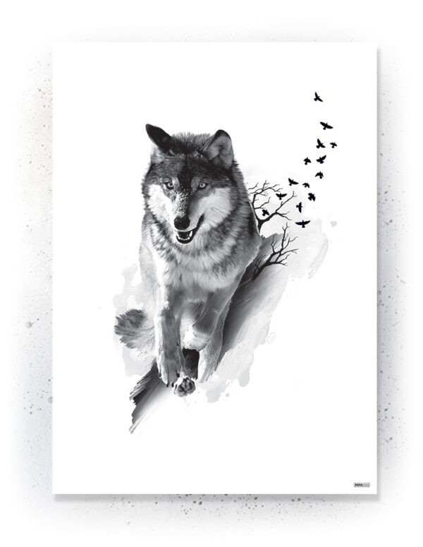Plakat / Canvas / Akustik: Ulv og fugle (Animals) Plakater > Sort / Hvid plakater