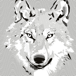 Wolf Lines af Jakub Stodulski Illux Art shop - Jakub Stodulski