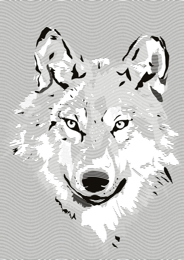 Wolf Lines af Jakub Stodulski Illux Art shop - Jakub Stodulski
