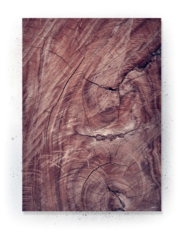 Plakat / Canvas / Akustik: Træ 1 (Withered) Plakater > Natur plakater
