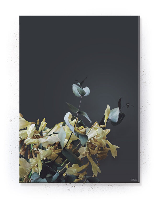 Plakat / Canvas / Akustik: Gule blomster(Withered) Artworks > Populær